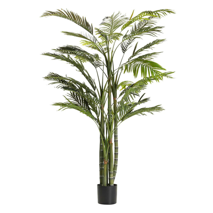 Planta Palmera Areca 110x110x190 Cm