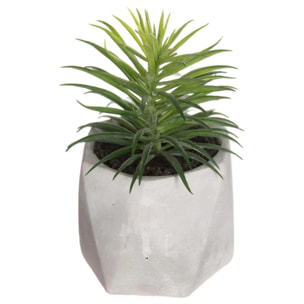 Plante grasse artificielle pot ciment H14cm