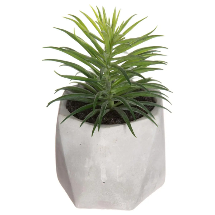 Plante grasse artificielle pot ciment H14cm