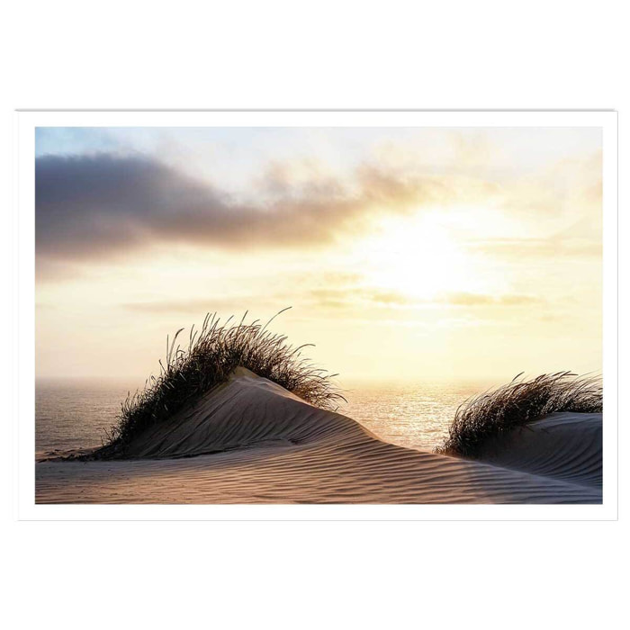 Poster dune au vent Affiche seule