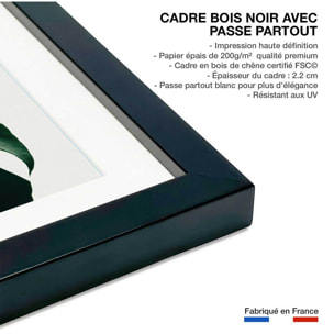 Affiche  monstera due Affiche + cadre en bois - Noir