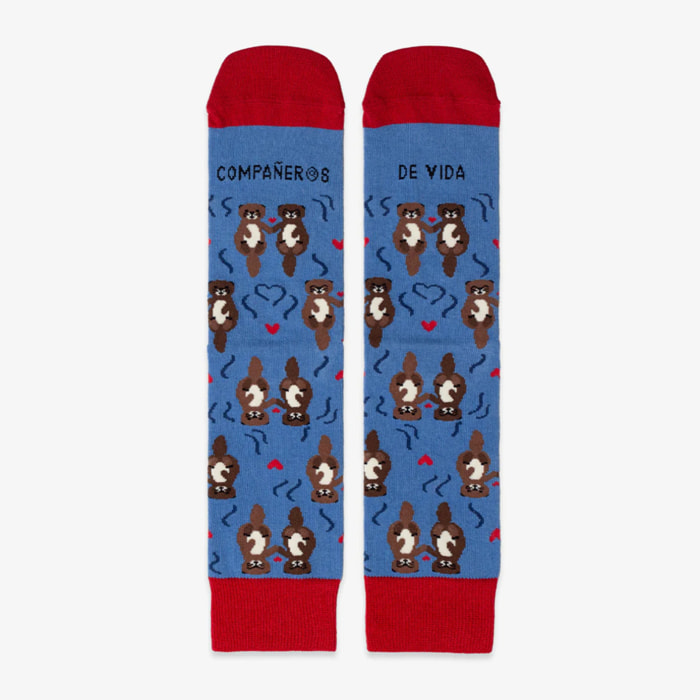 Calcetines "Eres mi compañer@ de vida" talla 36-41