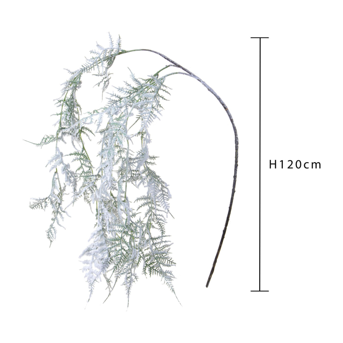 Asparagus - Pezzi 6 - 22xH120x10cm - Bianchi Dino SpA