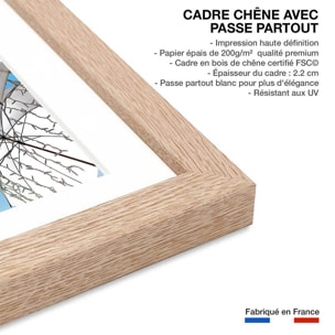 Affiche poster ombrella Affiche sous cadre bois