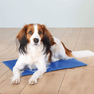 Well home alfombra refrescante para mascotas azul