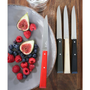 Set de couteaux OPINEL Bon appétit Loft 4 couteaux de table
