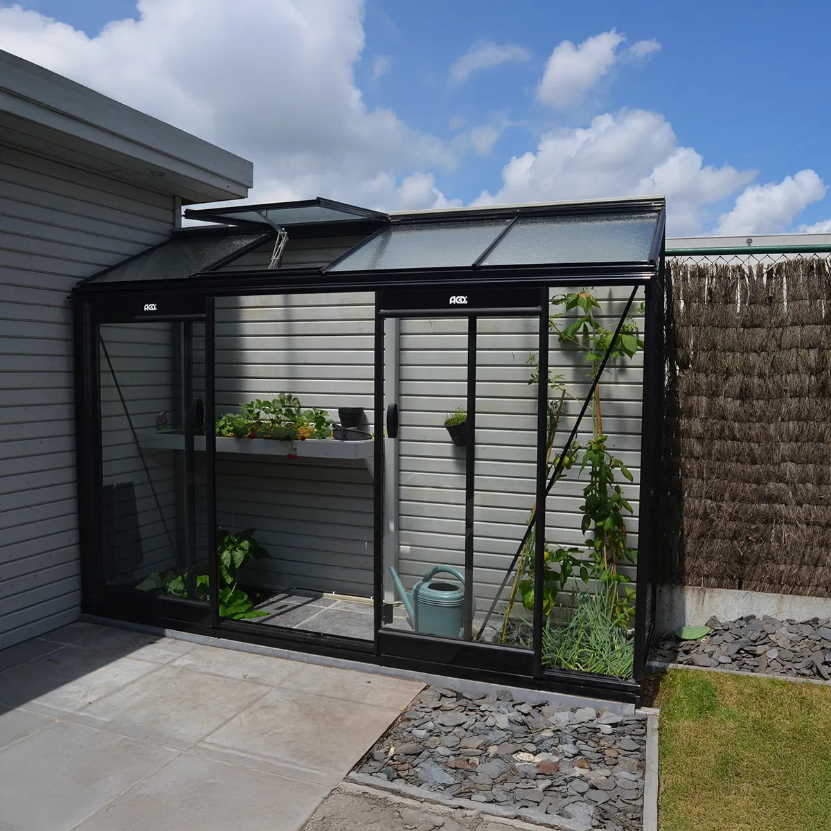 Serre en verre Murale MICCOLO – 2,46 m²