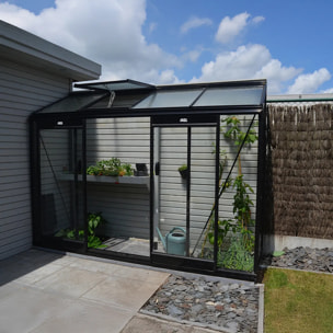 Serre en verre Murale MICCOLO – 2,46 m²