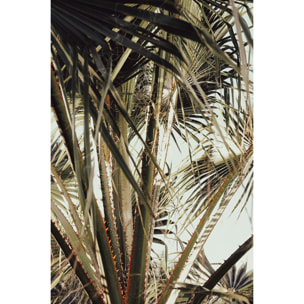 Tableau cœur de palmier Tableau alu Dibond