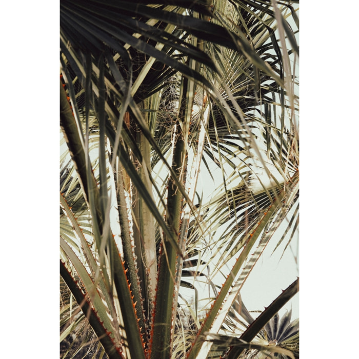 Tableau cœur de palmier Tableau alu Dibond