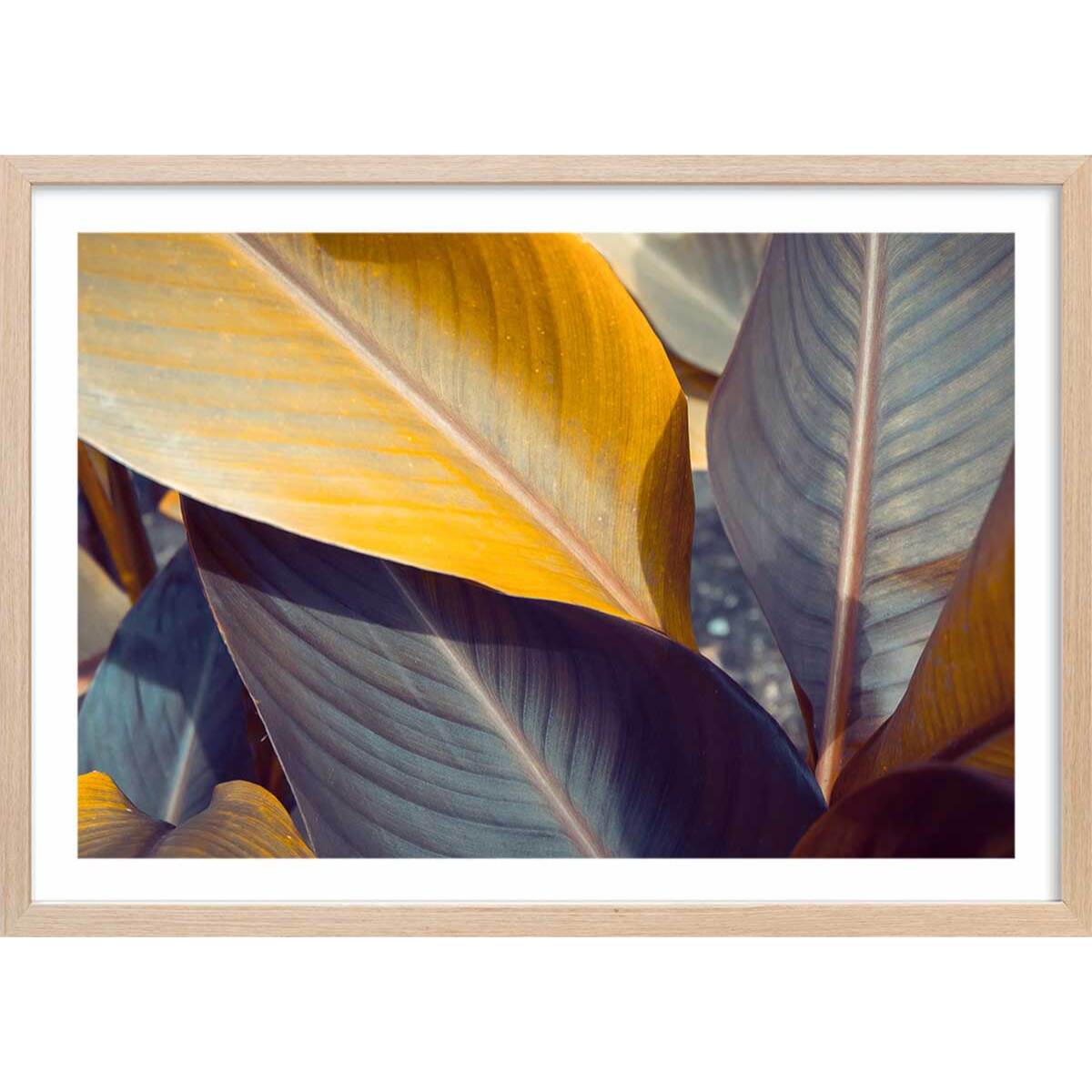 Affiche palm leaves y Affiche + cadre en bois - Chêne