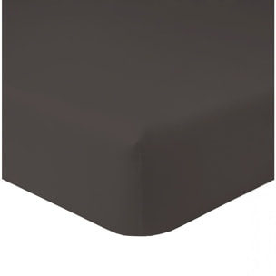 Drap Housse - Bonnet 35cm - 100% Coton 57fils - Graphite