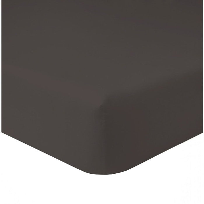 Drap Housse - Bonnet 35cm - 100% Coton 57fils - Graphite