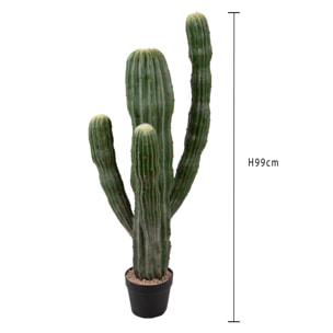 Cactus cerfus - Pezzi 1 - Colore: Verde - Bianchi Dino