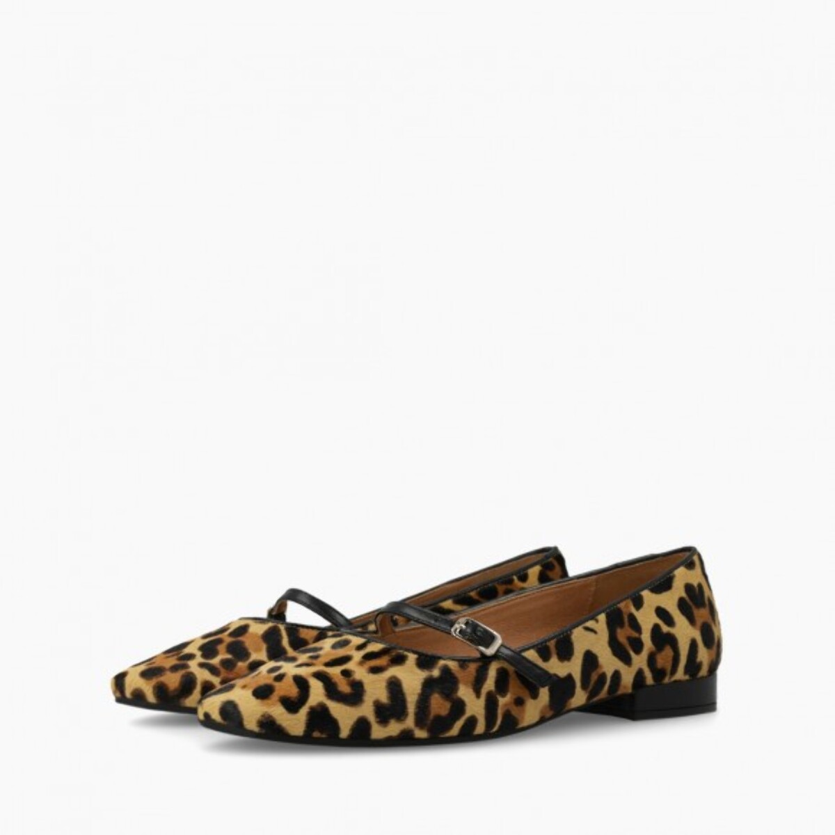 BAILARINAS ANIMAL PRINT AMB5042INO