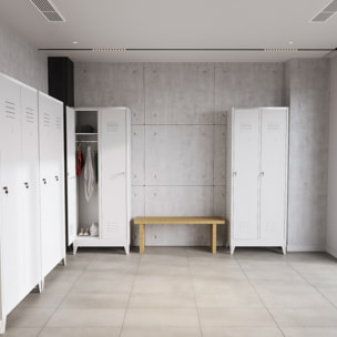 Armadietto Spogliatoio Armadio Sporco Pulito 2 Posti In Lamiera Di Acciaio Salvaspazio Con Chiave Ripiano Appendiabiti Ganci Porta Cartellino Grigio