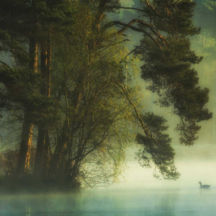 Affiche paysage marais neerlandais Affiche sous cadre bois