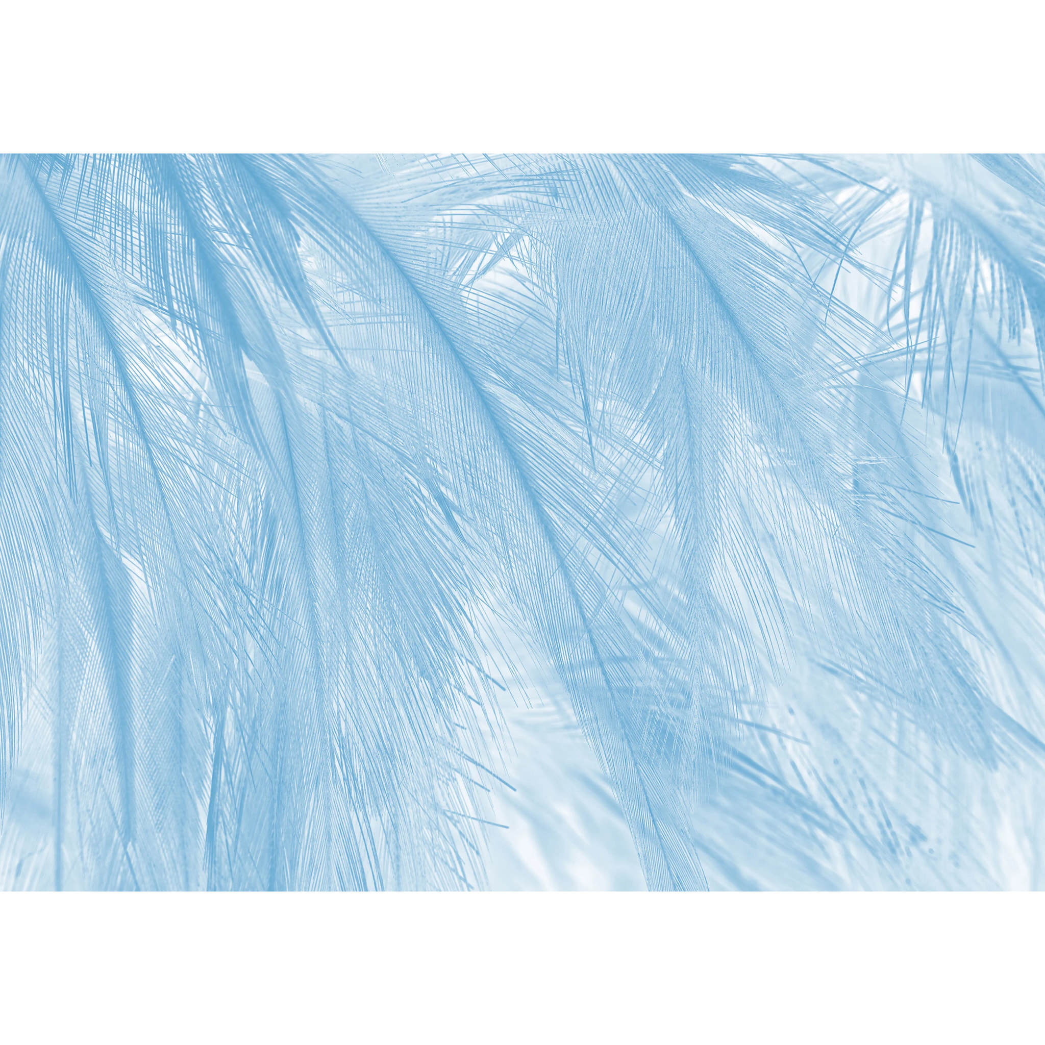 Papier peint panoramique Soft