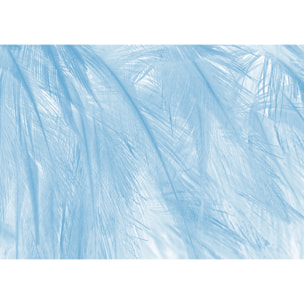 Papier peint panoramique Soft