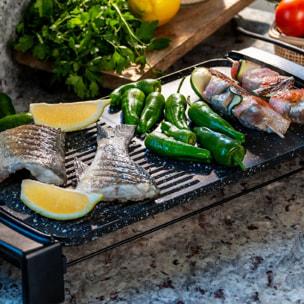 Cecotec Plancha électrique Tasty&Grill 2500 RockWater MixGrill
