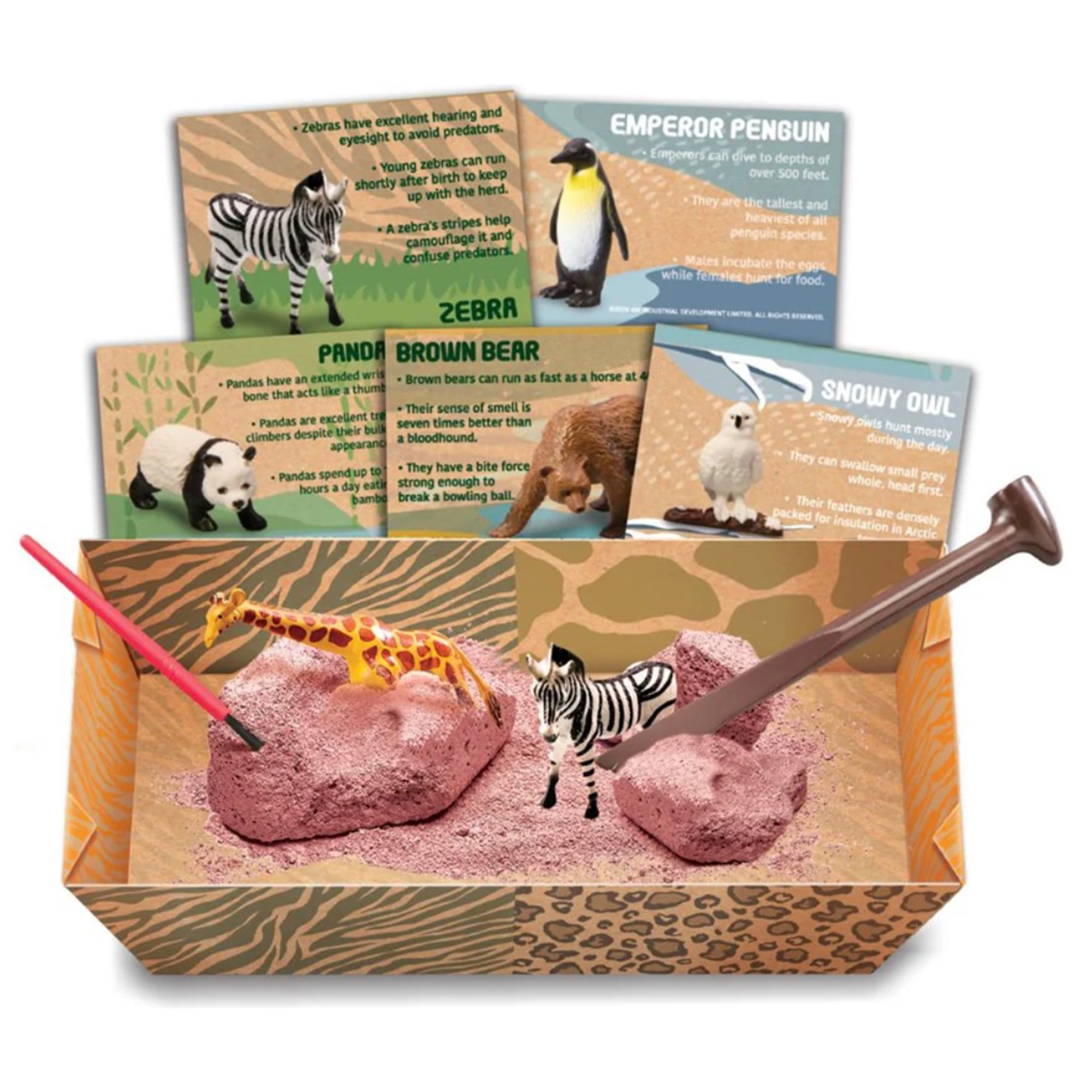 Kit di Scavo Animali Selvatici