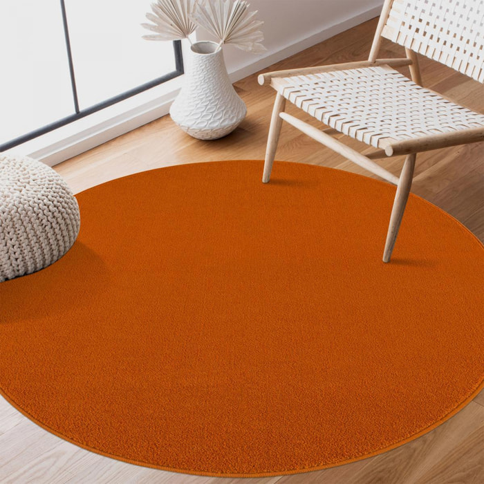 Tapis salon et chambre tissé motif uni PAJU