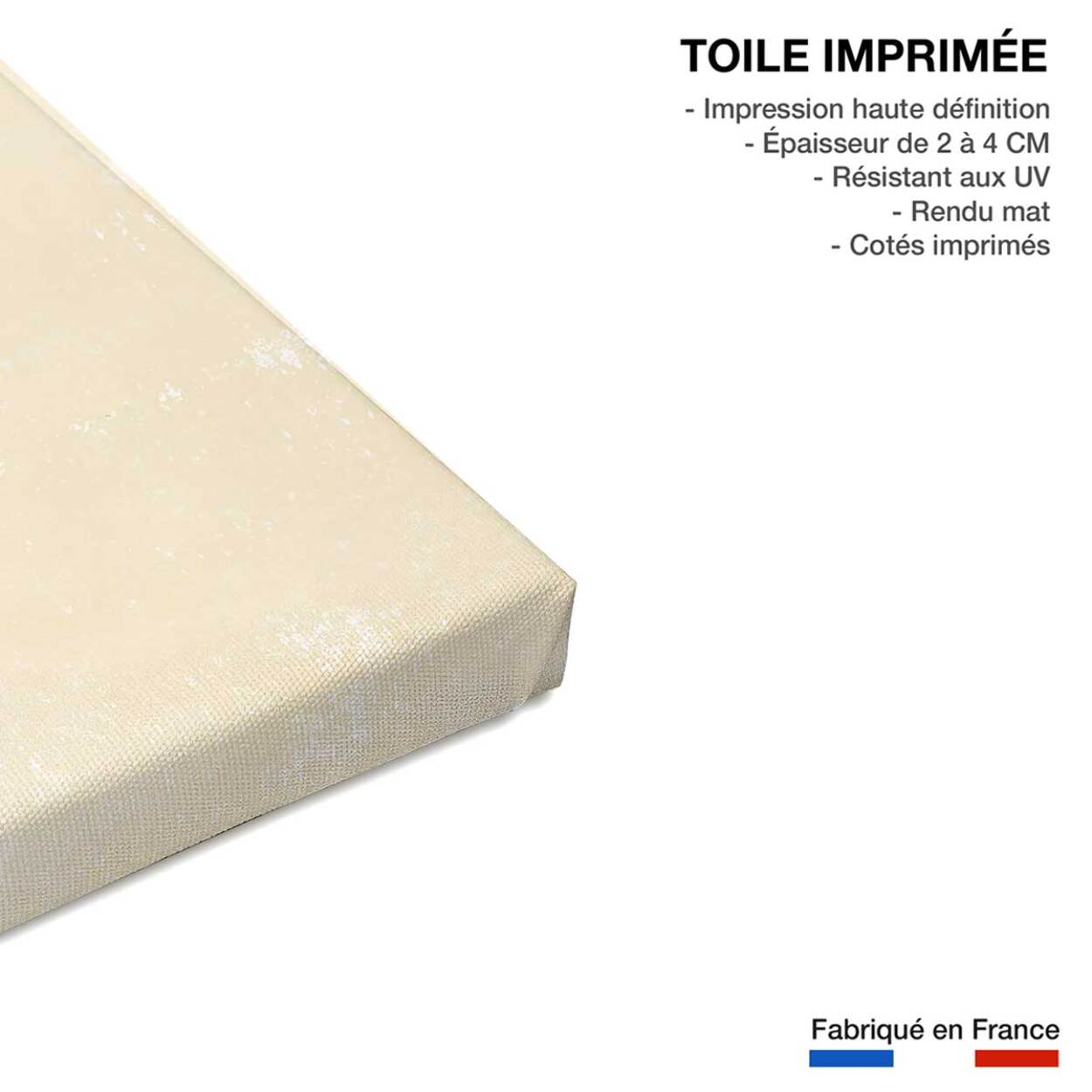 Tableau fleurs Monstera blush Toile imprimée