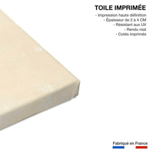 Tableau fleurs Monstera blush Toile imprimée