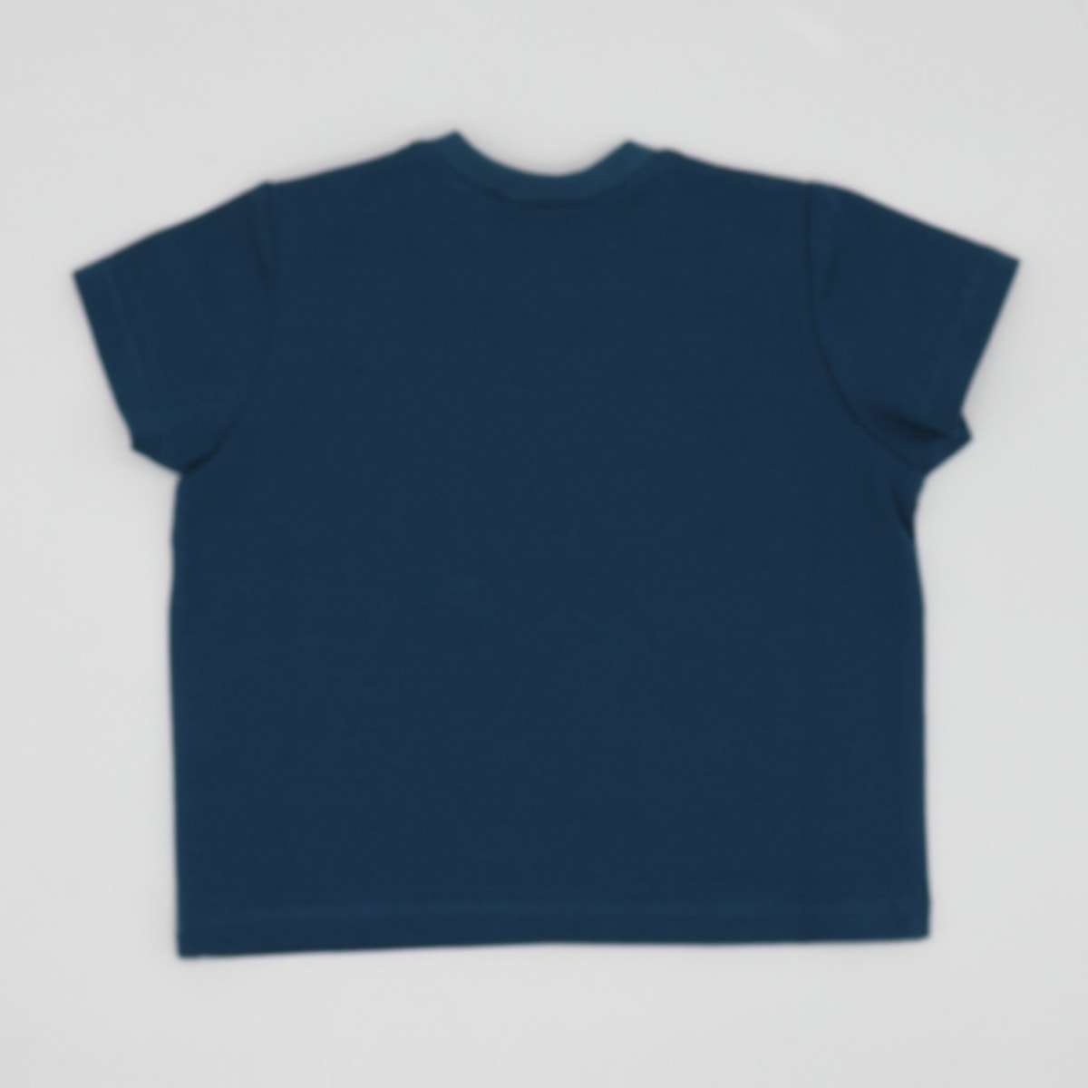 CAMISETA AZUL VERDOSO BALLENA