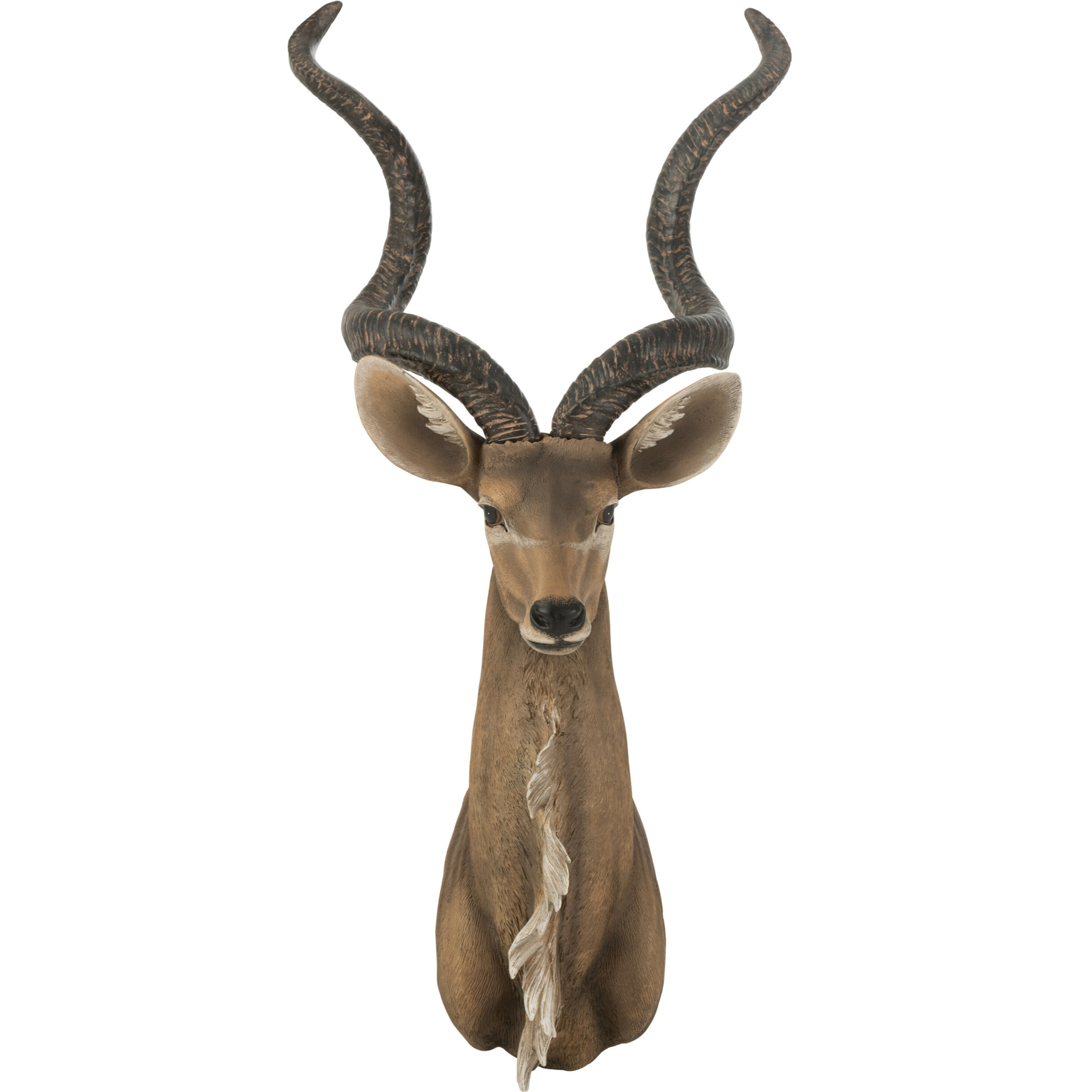 J-Line décoration murale Antilope Tête - polyrésine - brun