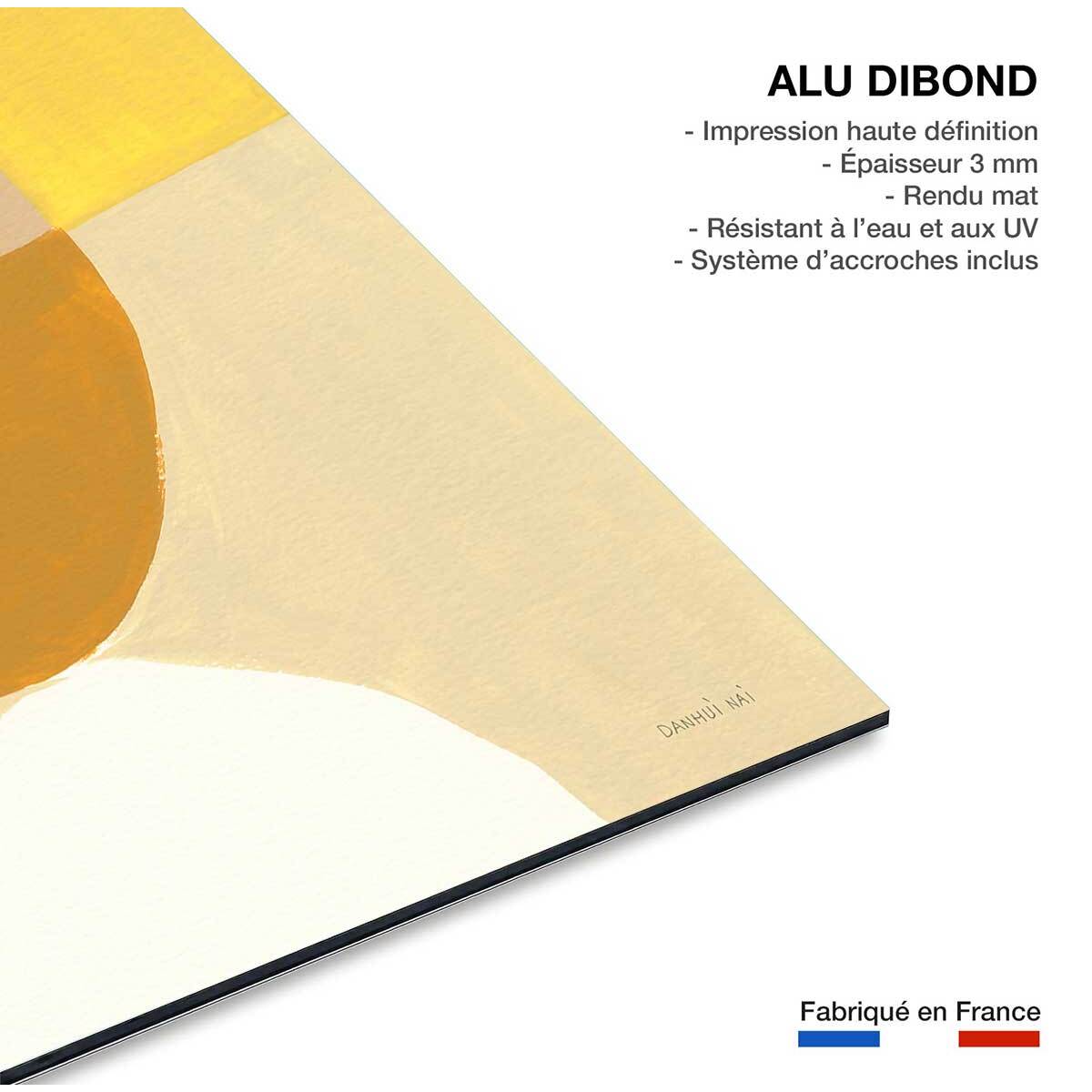 Tableau Soleil retro 50's Tableau alu Dibond