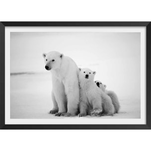 Affiche animaux family polar bear Affiche + cadre en bois - Noir
