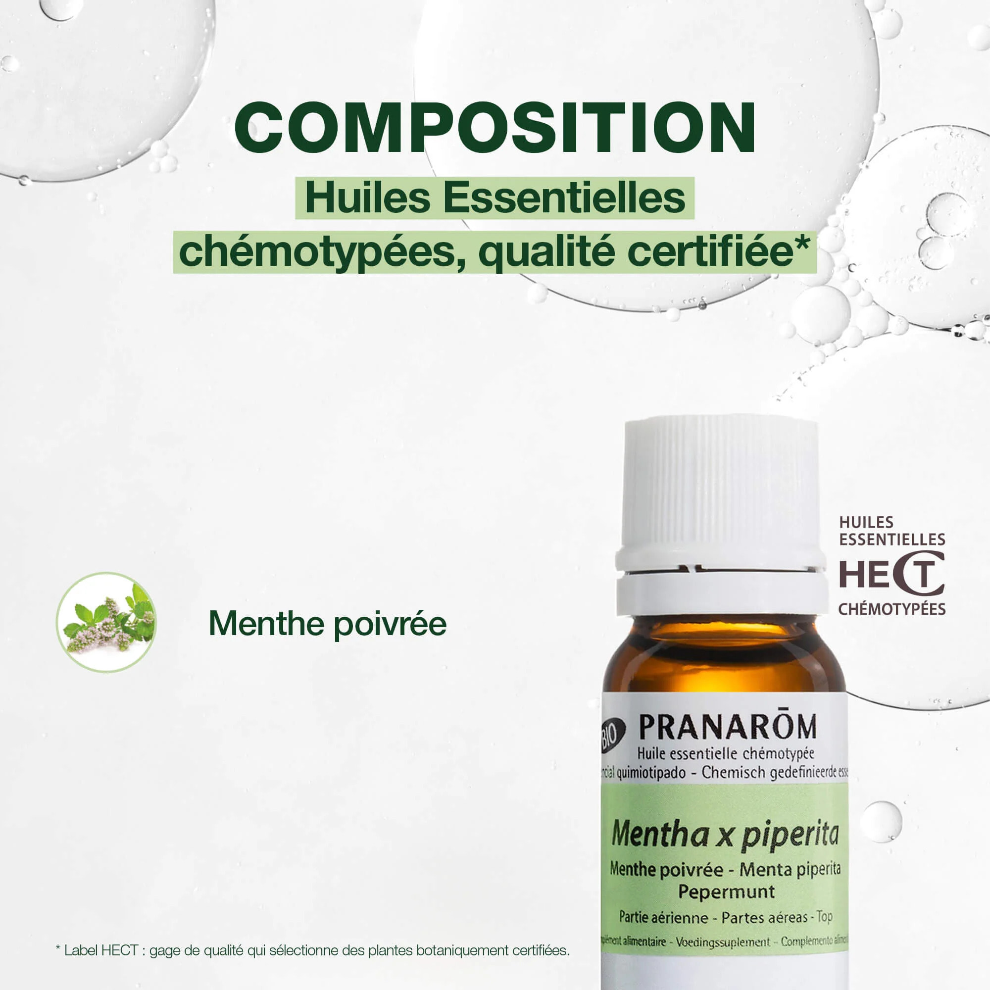 Pranarom - Huile Essentielle de Menthe poivrée - Bio - 5 ml