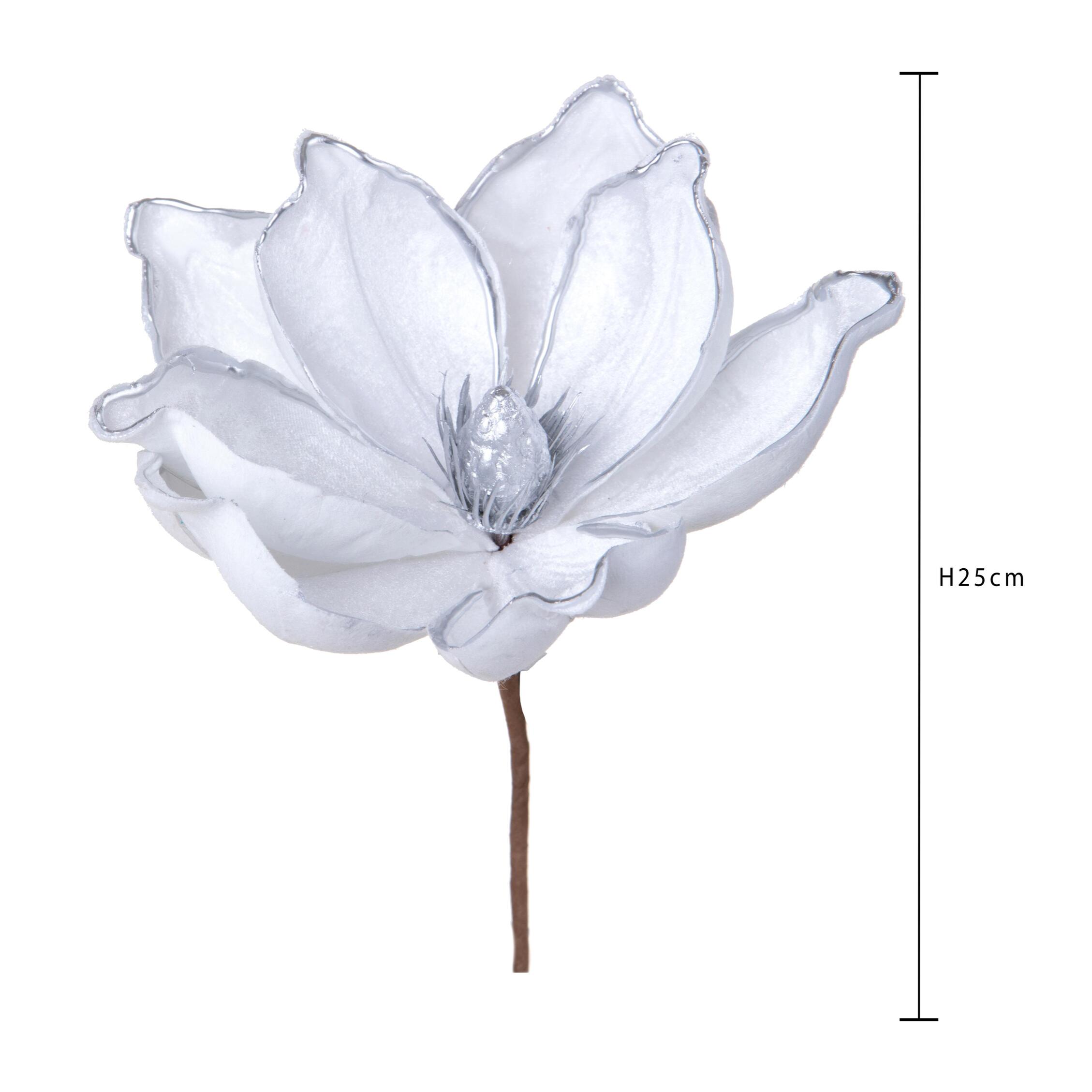 Pick magnolia - Pezzi 12 - 25xH12x25cm - Bianchi Dino SpA