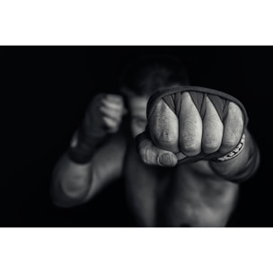 Tableau boxe left wing Tableau alu Dibond