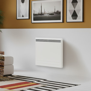 Radiateur inertie fonte 1000w