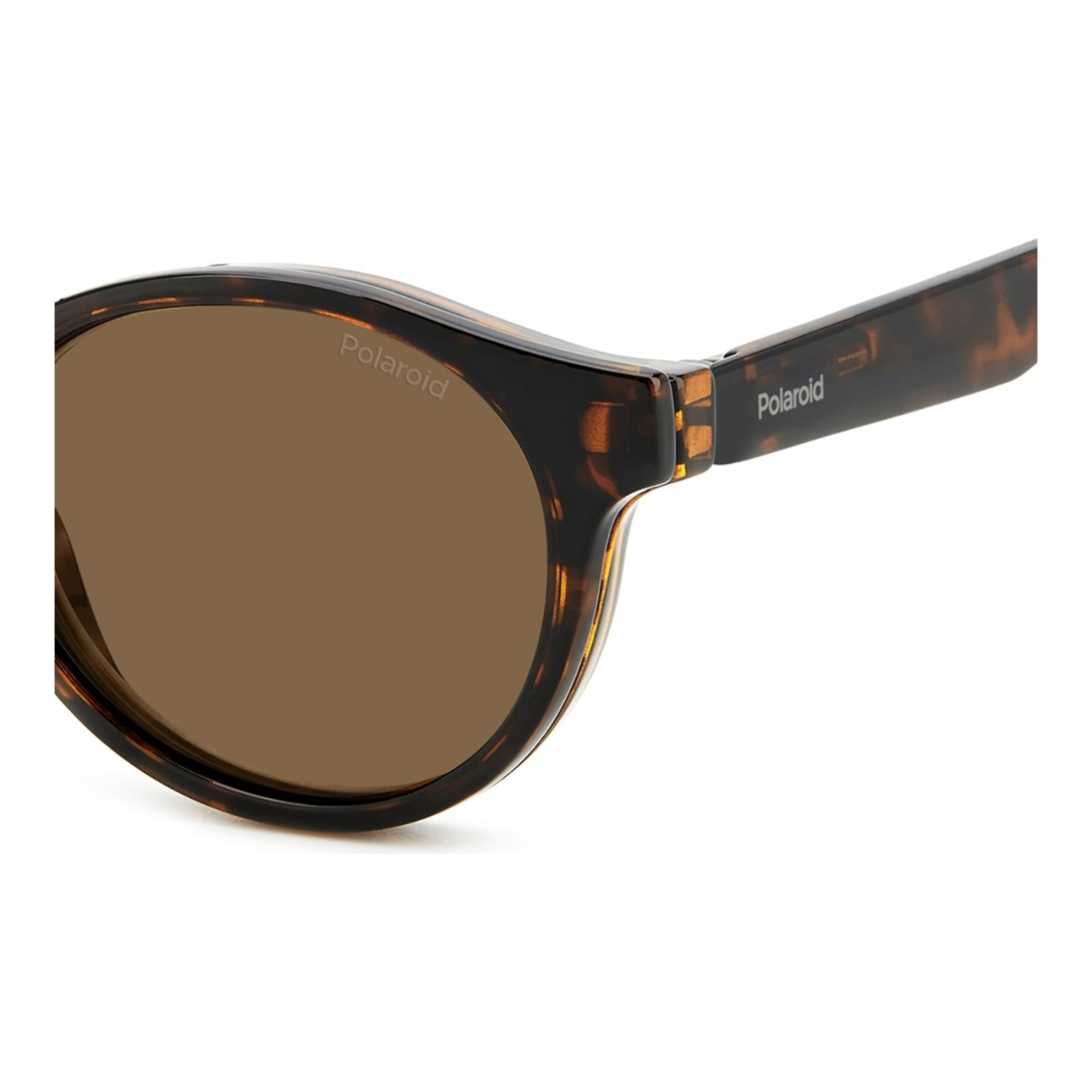 Gafas Pregraduadas Polaroid PLD 0031/R/C 086 50 +2.50 Polarizadas Unisex 50 mm