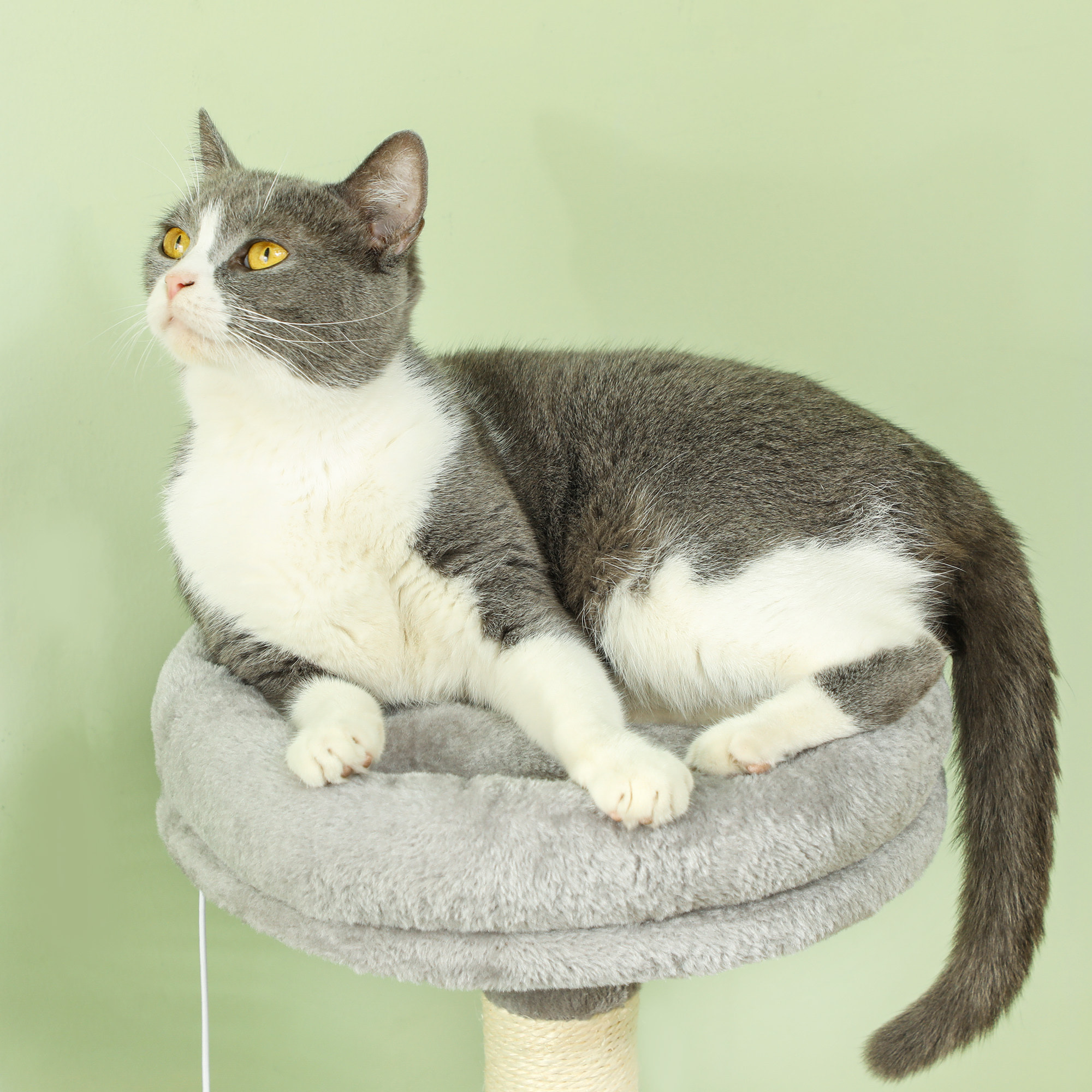 Árbol Rascador para Gatos 110 cm Árbol para Gatos Torre para Gatos con Nidos Cueva Plataforma Almohadilla de Rascado Bola Colgante Gris Claro