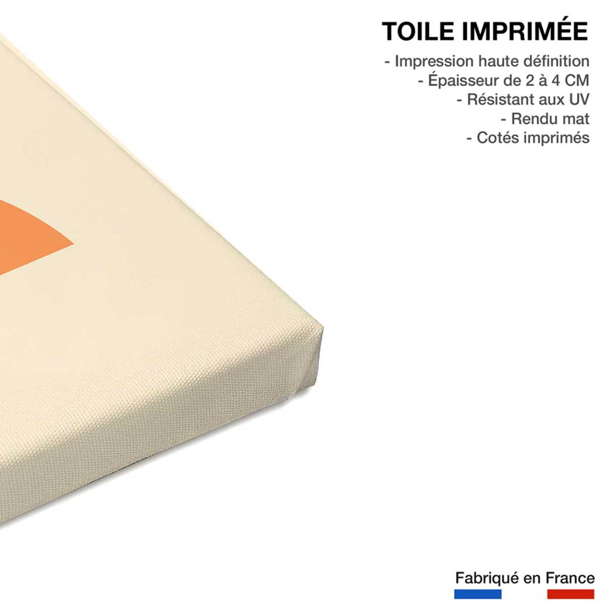 Tableau rendez vous avec la lune Toile imprimée