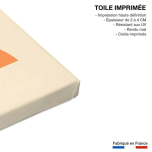 Tableau rendez vous avec la lune Toile imprimée