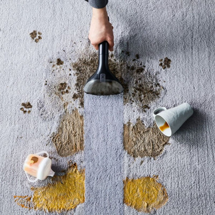 Détergent ROWENTA pour nettoyeur détacheur Clean It IN5011F0