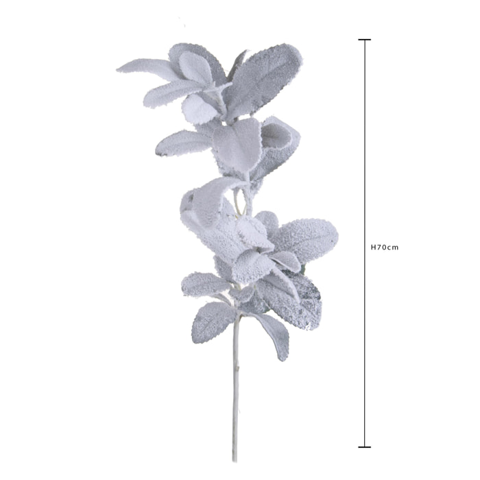 Ramo - Pezzi 12 - 15xH70x14cm - Bianchi Dino SpA