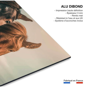 Tableau chevaux horse family  Tableau alu Dibond