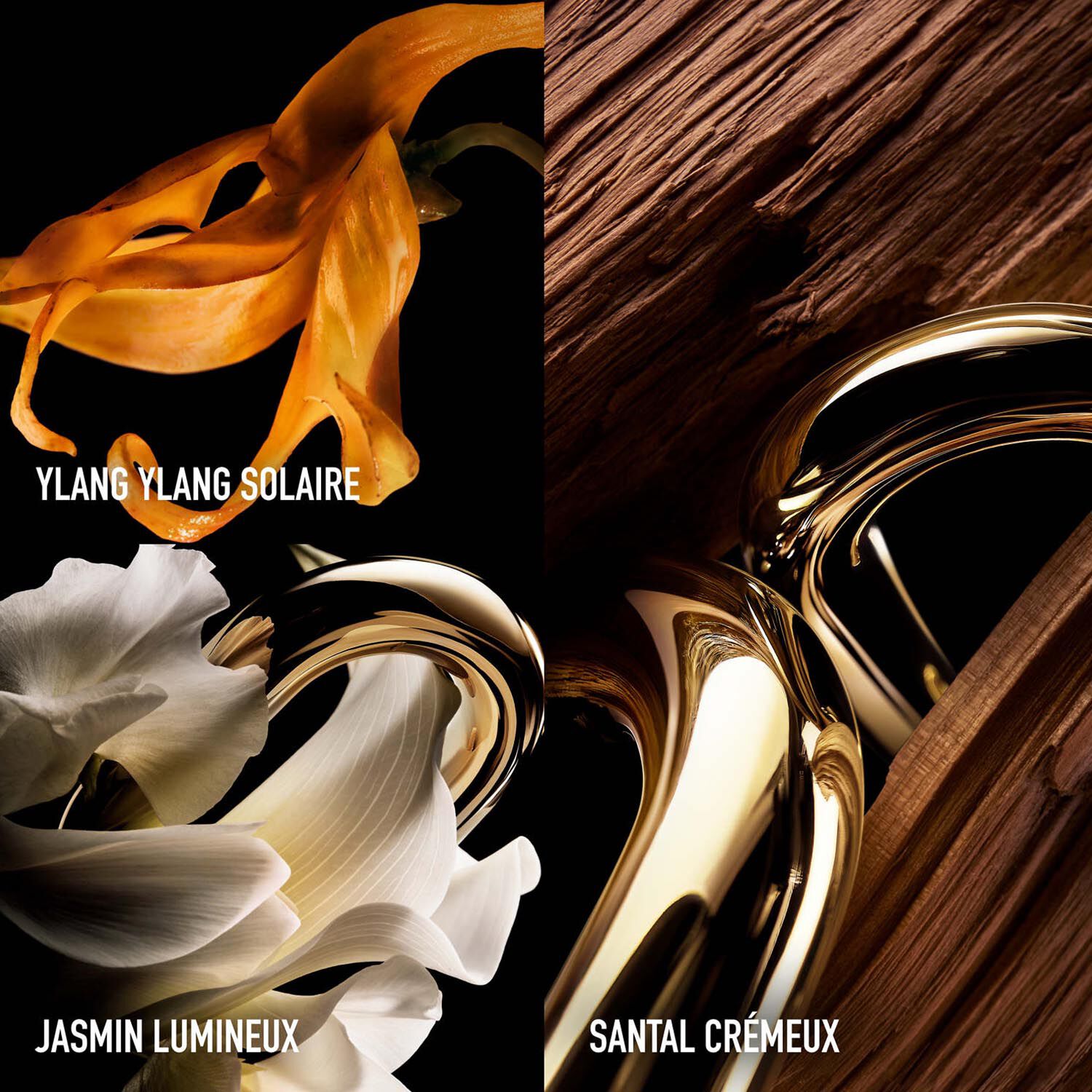 Million Gold For Her - Parfum