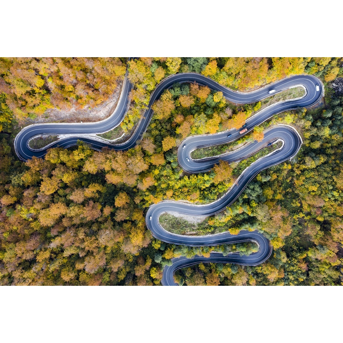 Tableau Route d' automne Tableau plexiglas