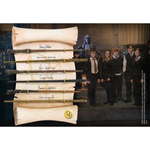 Harry Potter Display 6 Bacchette Character Esercito Di Silente Noble Collection