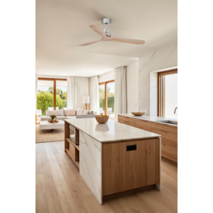 LANTAU L Ventilateur de plafond nickel mat/pin TUYA