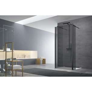 Paroi de douche à l'italienne 87x200cm Walk-in, verre fumé (WI90KS)