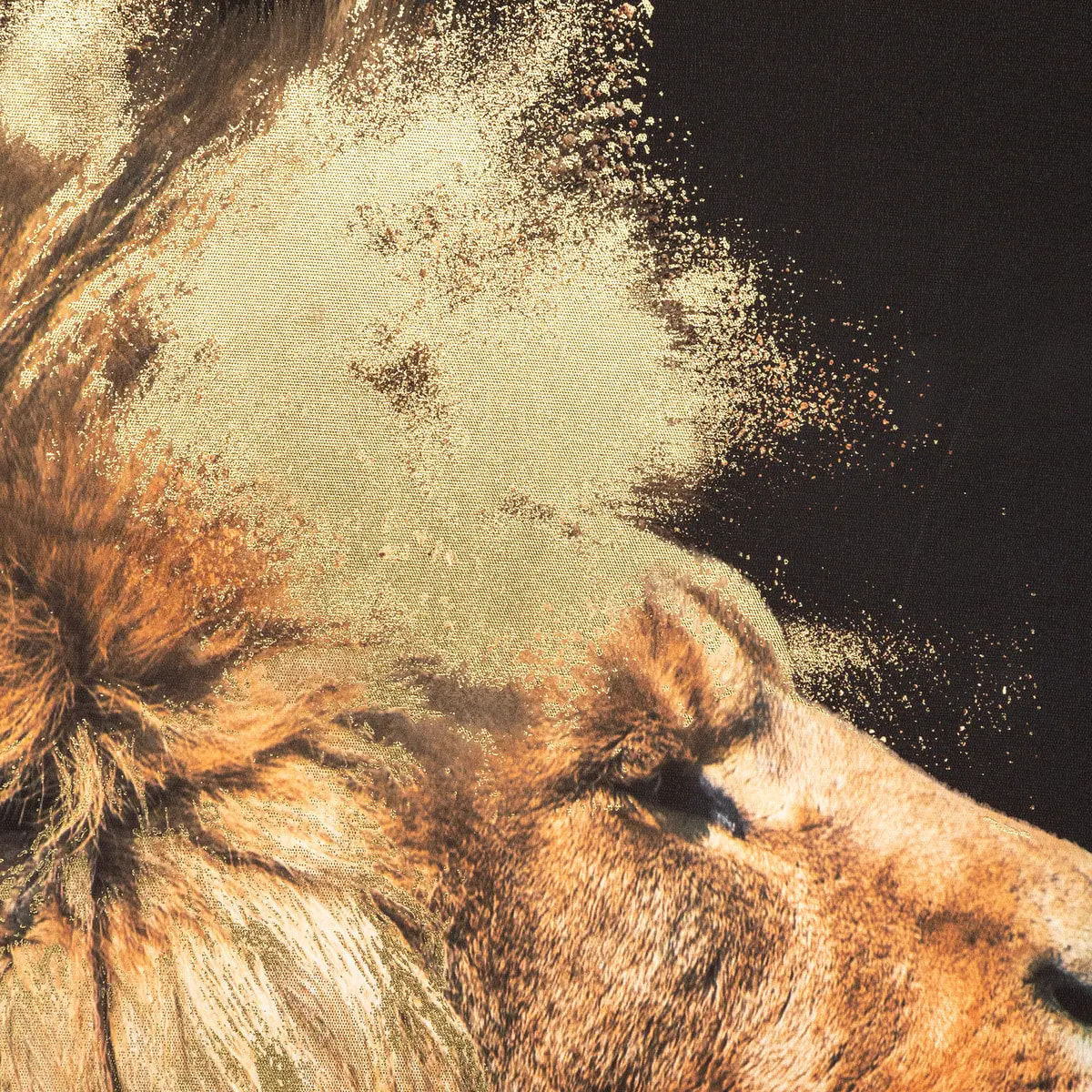 Toile encadrée "Animaux" lion bois 60x90cm