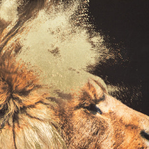 Toile encadrée "Animaux" lion bois 60x90cm